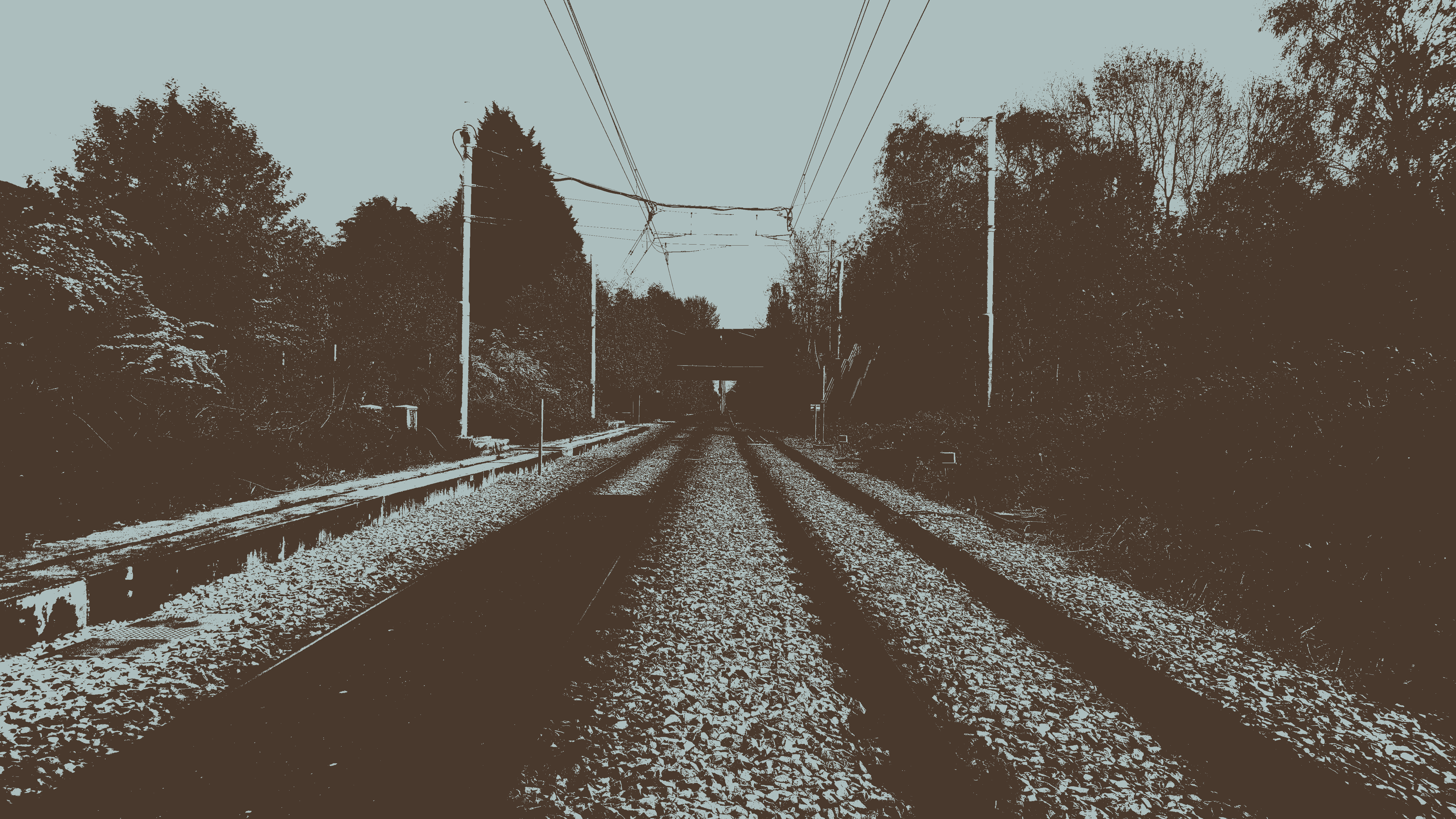 rail.png